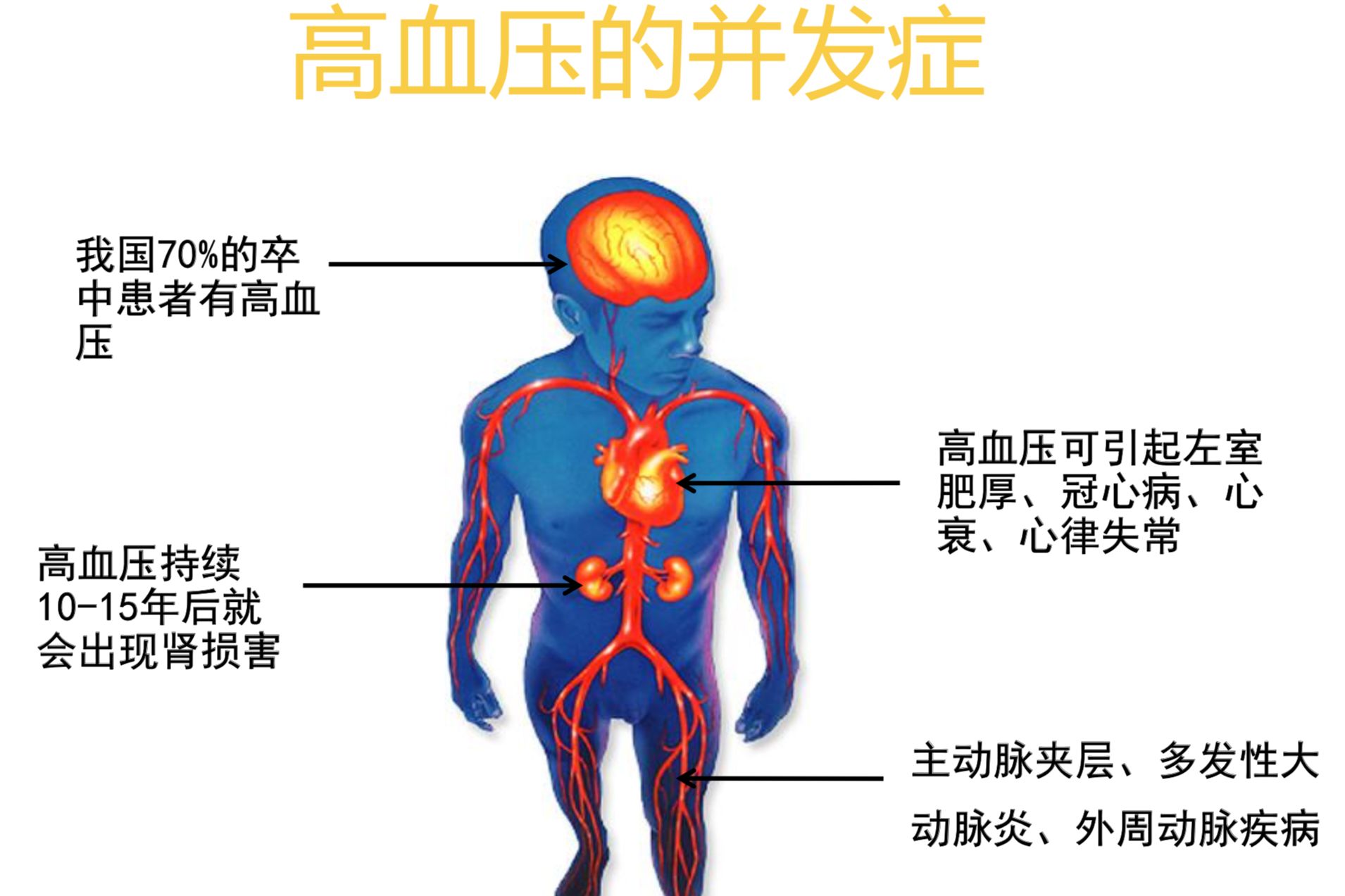 高血压“最怕”的三种豆，帮你清血管，血管畅通，血压也稳稳的了 - 哔哩哔哩